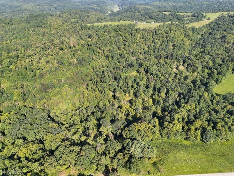 Tiny photo for Crum Ridge Rd, Caldwell, OH 43724 (MLS # 5241479)