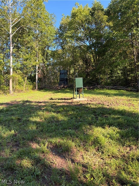 Tiny photo for Crum Ridge Rd, Caldwell, OH 43724 (MLS # 5241479)
