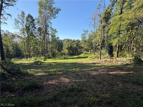 Tiny photo for Crum Ridge Rd, Caldwell, OH 43724 (MLS # 5241479)