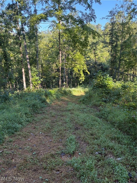 Tiny photo for Crum Ridge Rd, Caldwell, OH 43724 (MLS # 5241479)