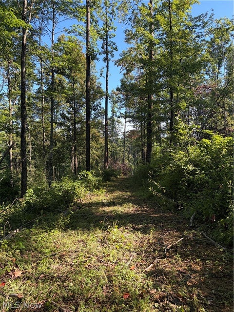 Tiny photo for Crum Ridge Rd, Caldwell, OH 43724 (MLS # 5241479)
