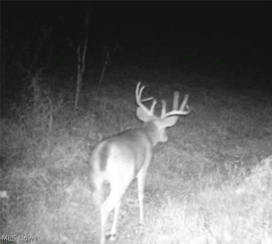 Crum Ridge Rd
