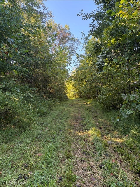 Tiny photo for Crum Ridge Rd, Caldwell, OH 43724 (MLS # 5241479)