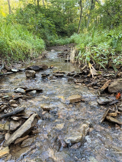 Tiny photo for Crum Ridge Rd, Caldwell, OH 43724 (MLS # 5241479)