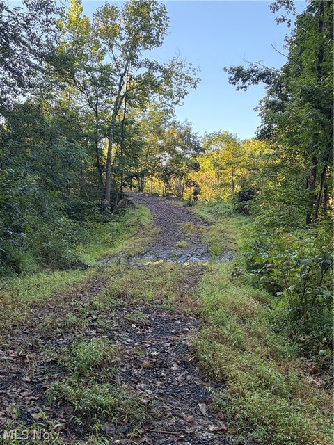 Tiny photo for Crum Ridge Rd, Caldwell, OH 43724 (MLS # 5241479)