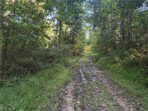 Tiny photo for Crum Ridge Rd, Caldwell, OH 43724 (MLS # 5241479)