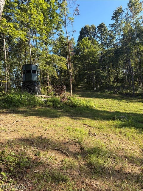 Tiny photo for Crum Ridge Rd, Caldwell, OH 43724 (MLS # 5241479)