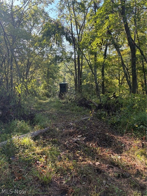 Tiny photo for Crum Ridge Rd, Caldwell, OH 43724 (MLS # 5241479)