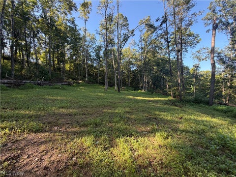 Tiny photo for Crum Ridge Rd, Caldwell, OH 43724 (MLS # 5241479)
