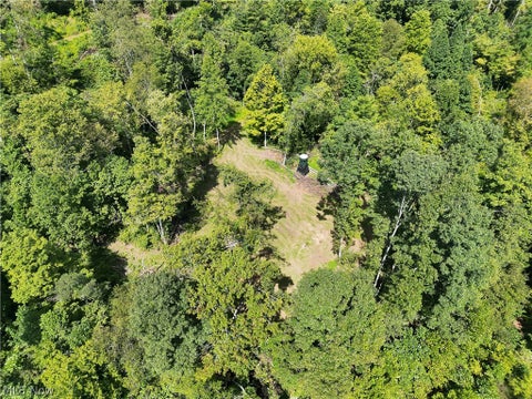 Tiny photo for Crum Ridge Rd, Caldwell, OH 43724 (MLS # 5241479)