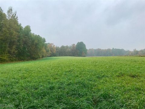 Vacant Land For Sale - Bryant<br/> Garrettsville, OH 44231