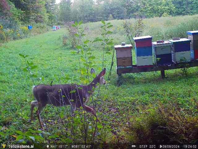 Bryant, Garrettsville, Ohio image 15