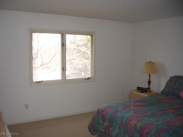 The Village - Residential