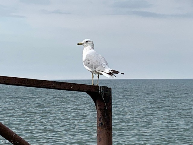 Lake Breeze Park Allotment - Residential