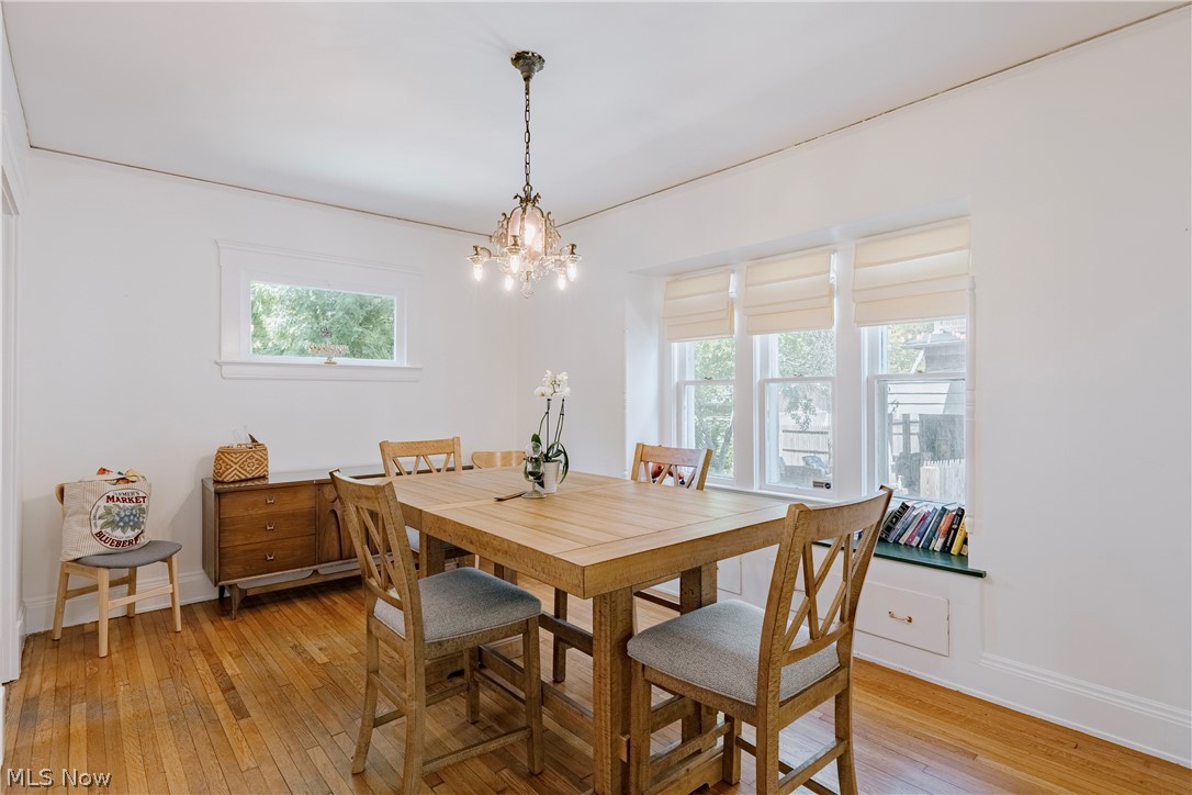 Shaker Lakes 02 - Residential