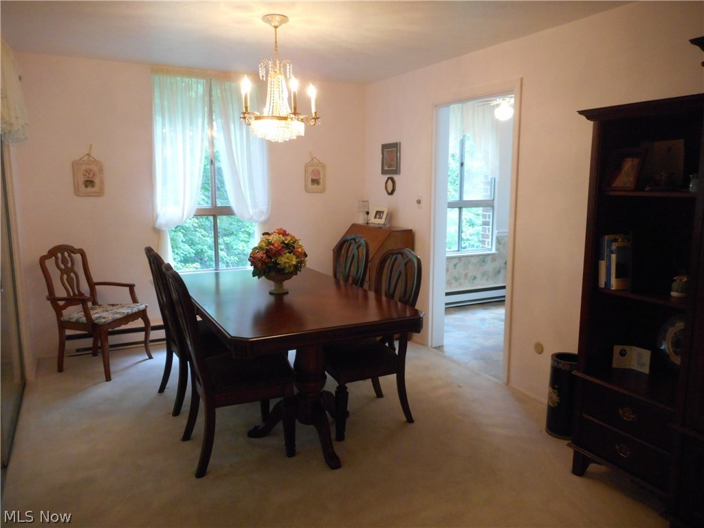 Silver Lake Towers Condo - Residential