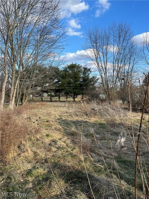 Tiny photo for 14121 Russell Drive, Petersburg, OH 44454 (MLS # 5190656)
