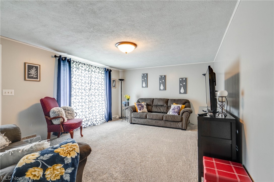 Minerva Dev Co 01 - Residential