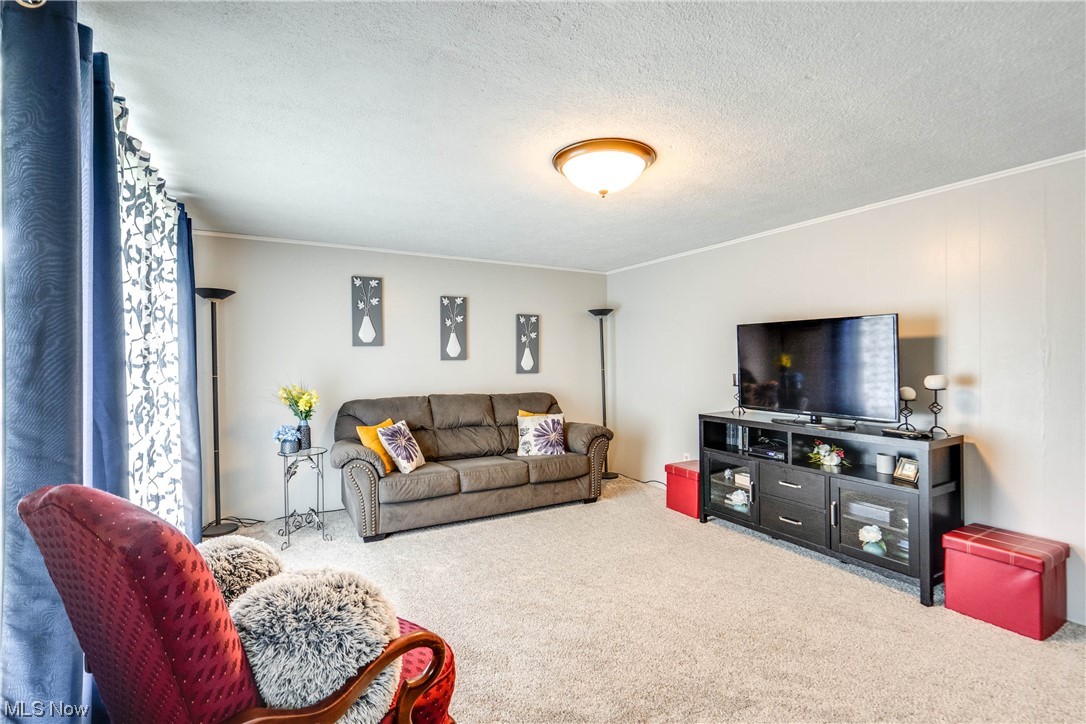 Minerva Dev Co 01 - Residential