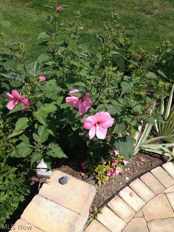 West Grove Vill - Residential