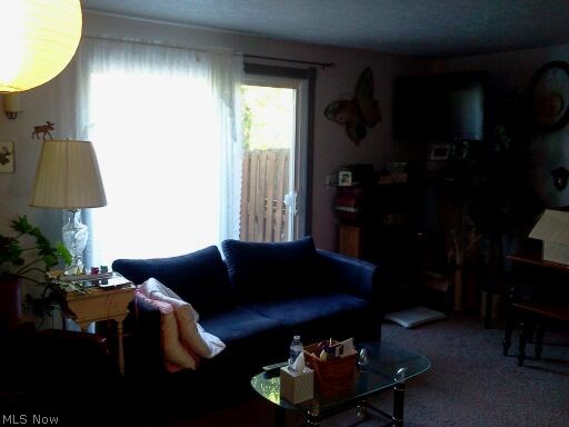 Maplecreek Twnhms - Residential