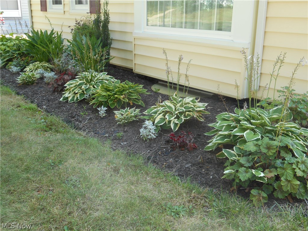 Firestone Park - Residential