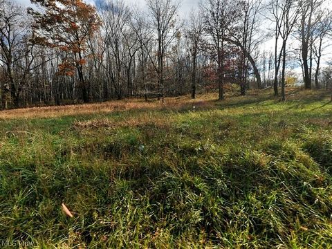 Vacant Land For Sale - 6523 Parr Road<br/> Newark, OH 43056