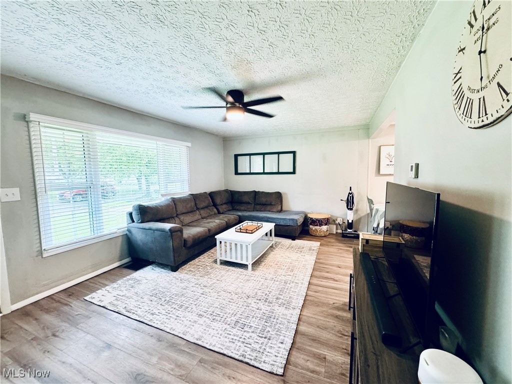 156 N Beverly Ave, Austintown, Ohio image 4