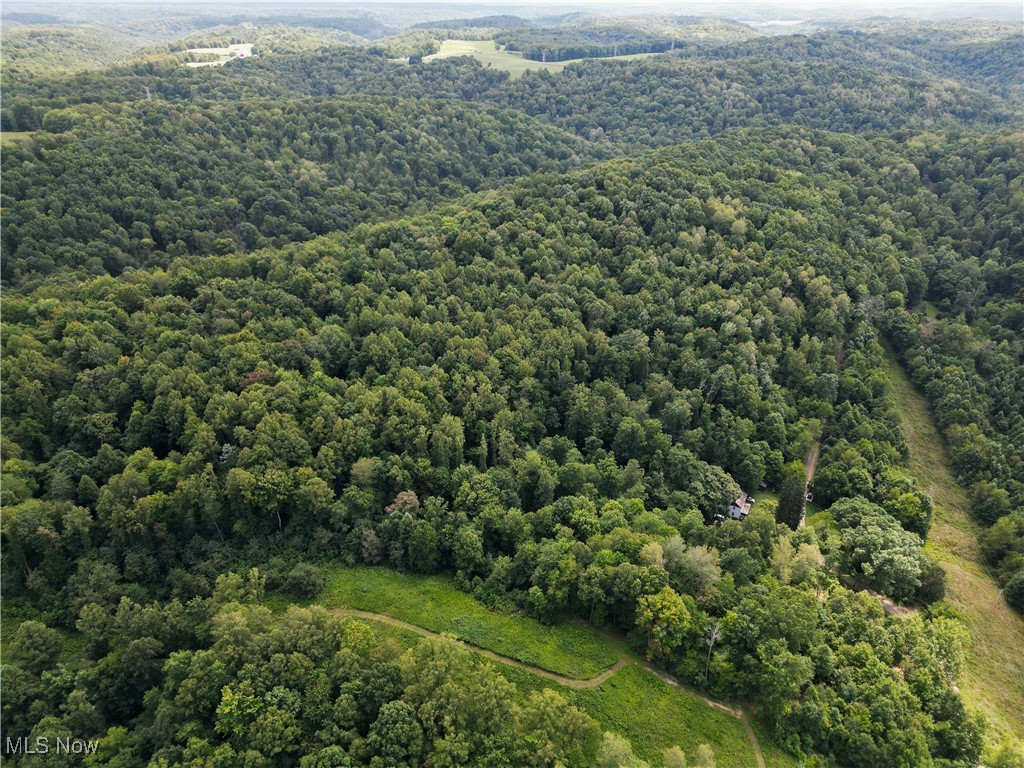 19478 Township Road 262, Kimbolton, Ohio image 31