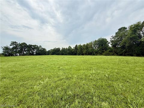 Vacant Land For Sale - Cinder Road<br/> Bergholz, OH 43908