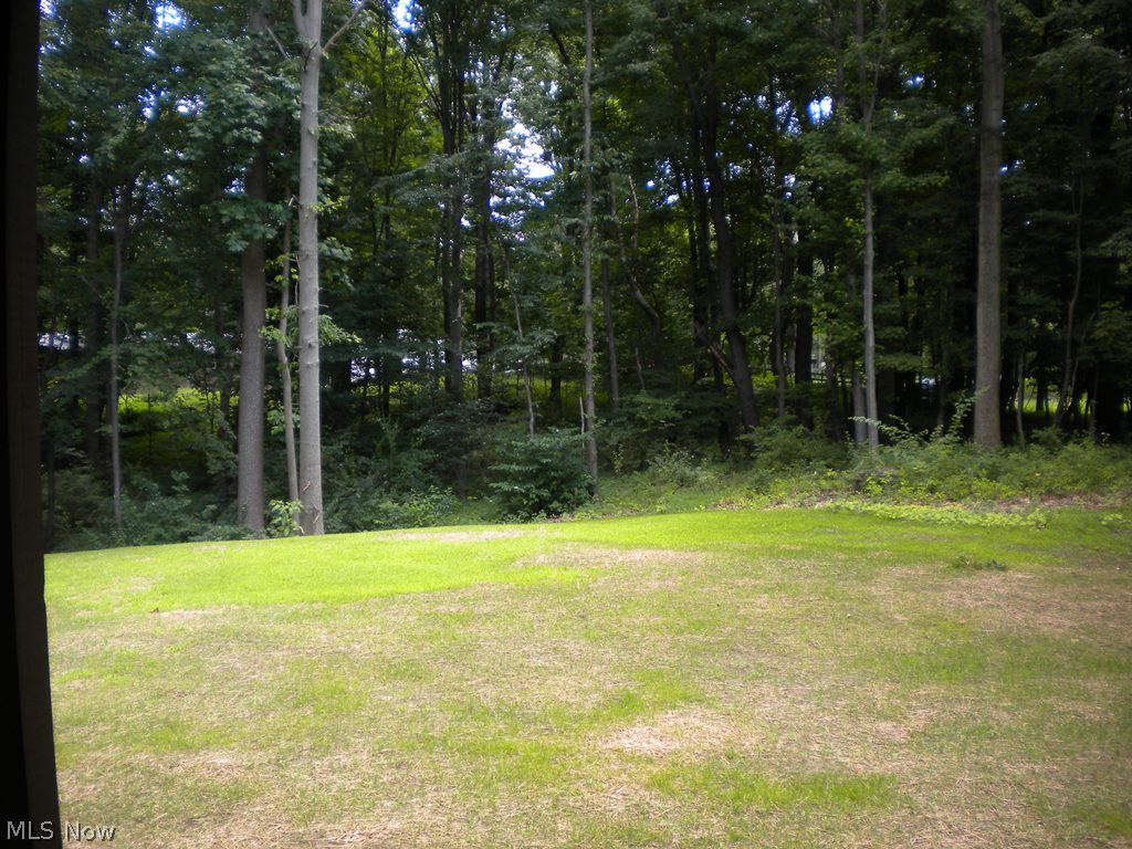 Meadowbrook Lake - Residential