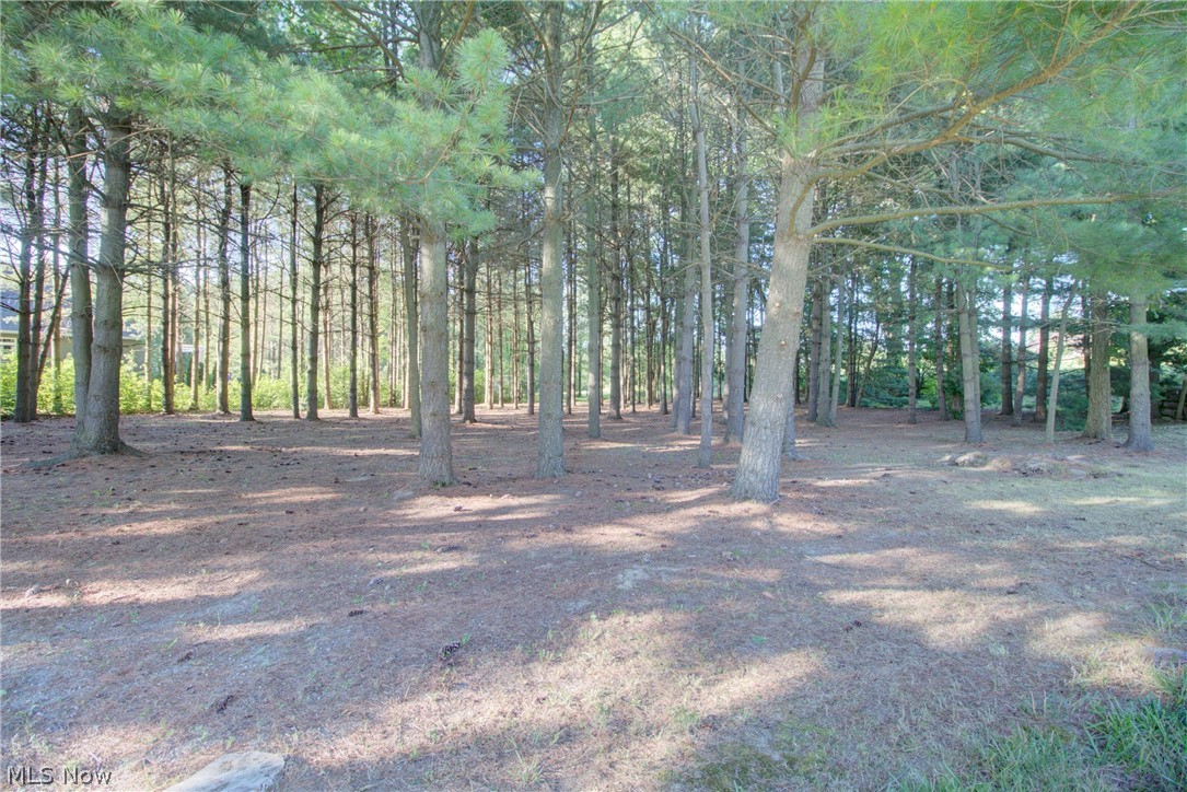 Maplewood Estate - Residential