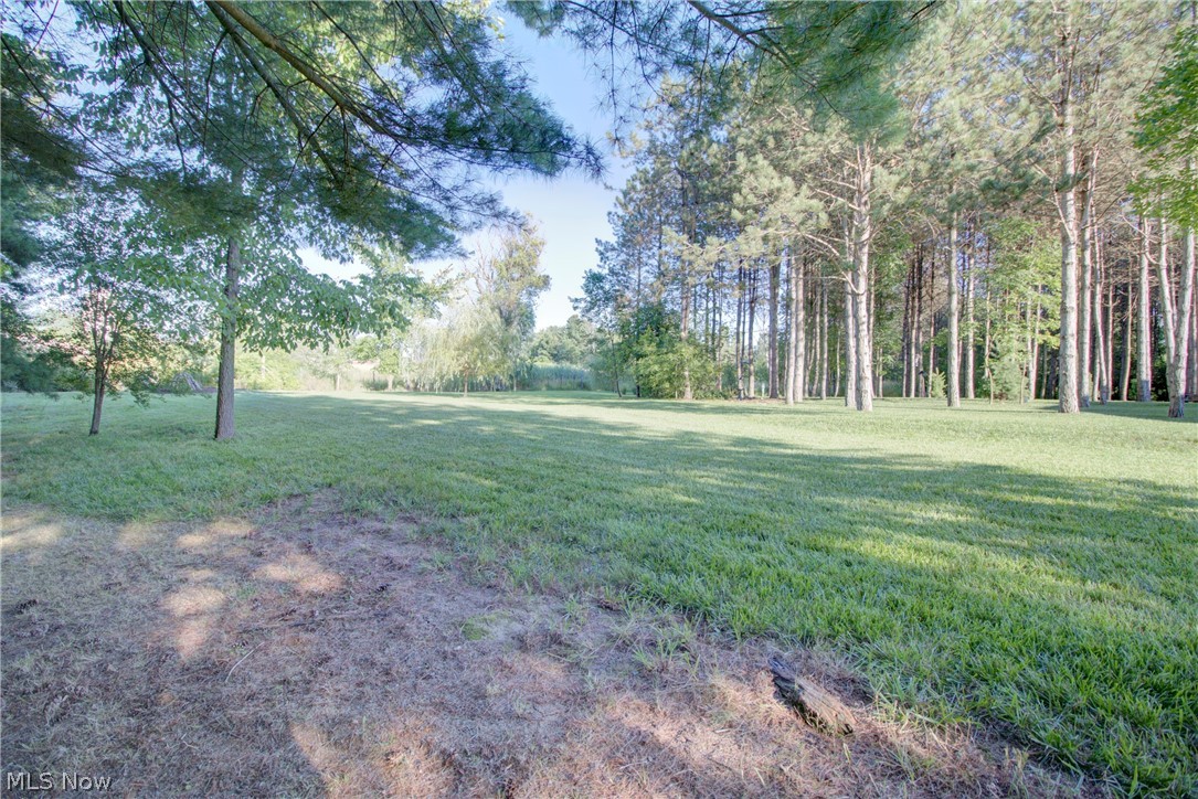 Maplewood Estate - Residential