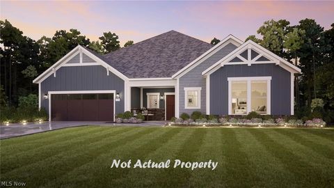 Photo of 6555 Buckeye Lane Ln, Medina, OH 44256 (MLS # 5210342)
