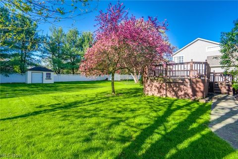 Tiny photo for 6124 Champagne Shores Shrs, Medina, OH 44256 (MLS # 5201819)