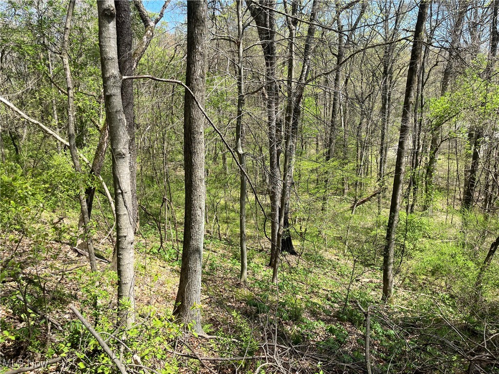 Lakeview Drive, Nashport, Ohio image 2