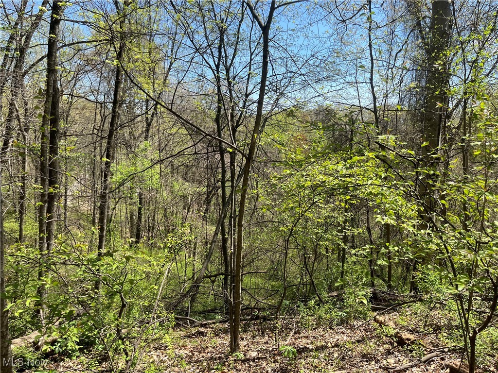 Lakeview Drive, Nashport, Ohio image 3