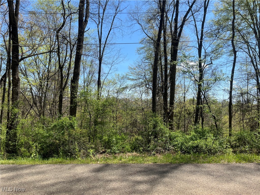 Lakeview Drive, Nashport, Ohio image 1