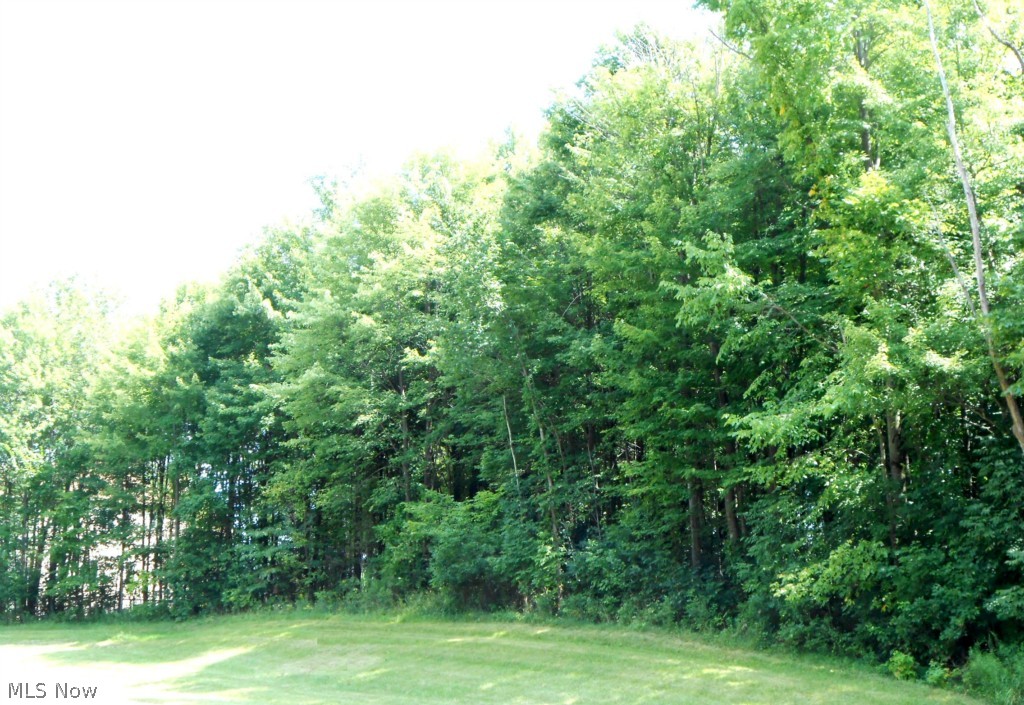 Beautiful lot in Crown Pointe Estates. Sensational countryside surroundings, great for nature lovers. Picturesque views yet close to major thorough fares, schools, churches, shopping and recreation. Premier location just waiting for your dream home. Bring your own builder.