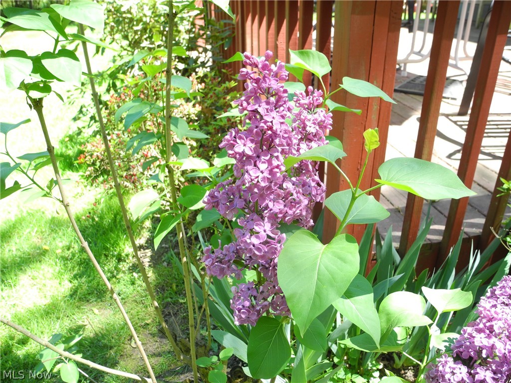 Rosedale Estates - Residential