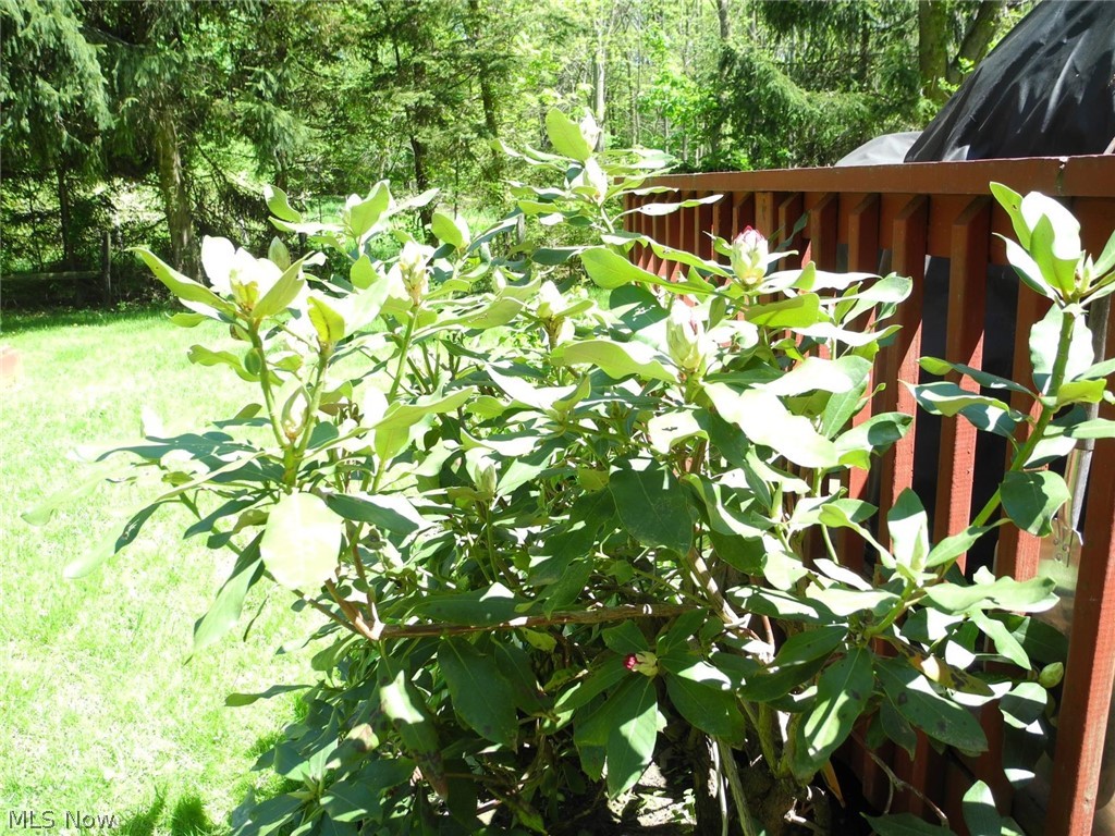 Rosedale Estates - Residential