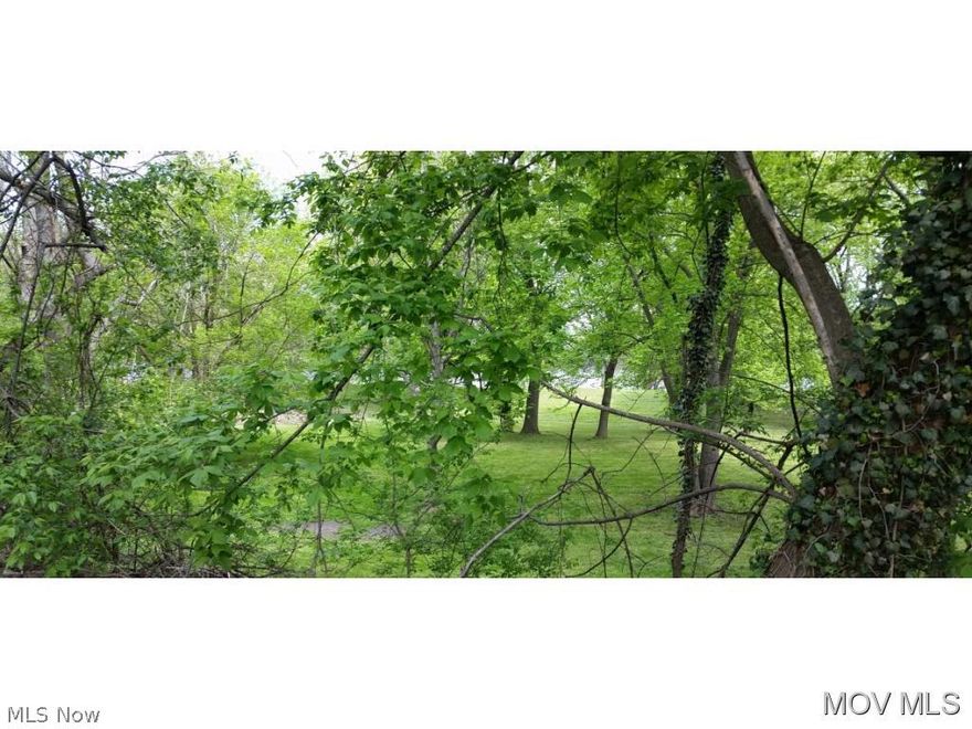 Beautiful lot on the Ohio River. Mature trees on the road side of the lot. #771  Elem: Williamstown Elementary School  Elem/Bus: N  JrHigh: Williamstown Jr. High  JrHigh/Bus: N  High: Williamstown High School  High/Bus: N  Fire: CIT  Police: CTY