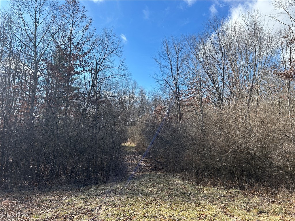Red Lane, Cumberland, Ohio image 8