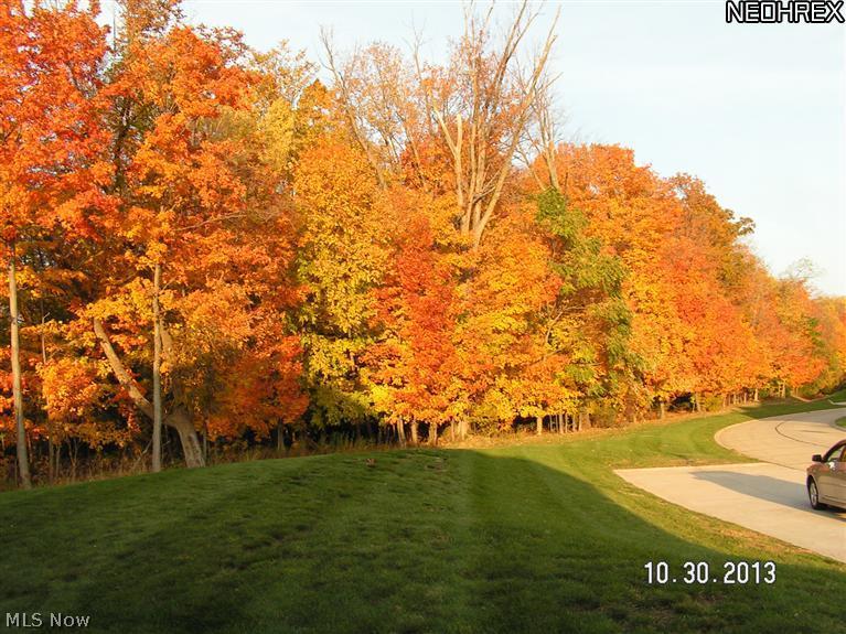 Stonecreek - Residential