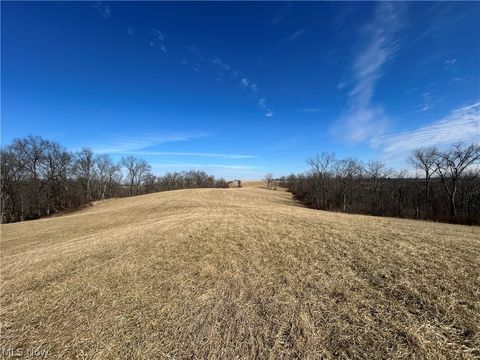 Tiny photo for Ridgeview Lane, Blue Rock, OH 43727 (MLS # 5189398)