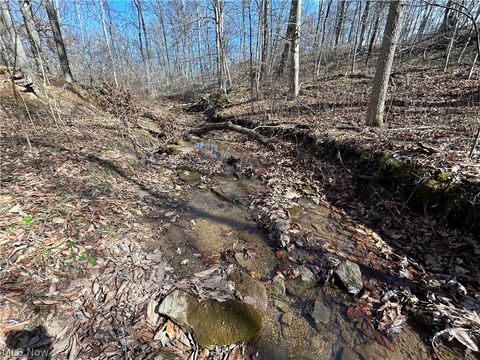 Tiny photo for Ridgeview Lane, Blue Rock, OH 43727 (MLS # 5189398)