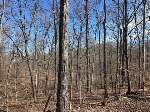 Tiny photo for Ridgeview Lane, Blue Rock, OH 43727 (MLS # 5189398)