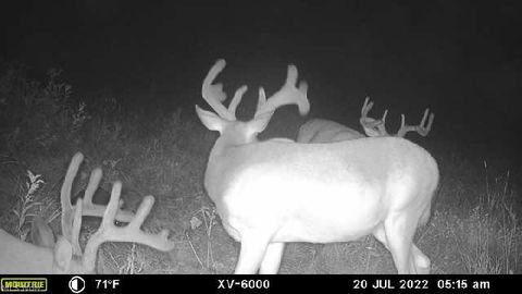 Tiny photo for Ridgeview Lane, Blue Rock, OH 43727 (MLS # 5189398)