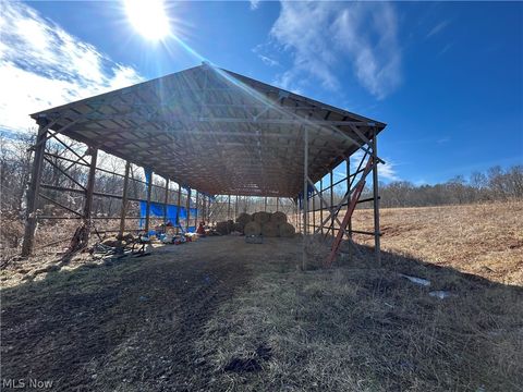 Tiny photo for Ridgeview Lane, Blue Rock, OH 43727 (MLS # 5189398)