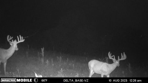 Tiny photo for Ridgeview Lane, Blue Rock, OH 43727 (MLS # 5189398)